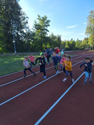 Fotografie img-20240923-wa0001_original.jpg