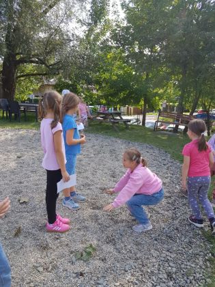 Fotografie img-20241002-wa0015_original.jpg