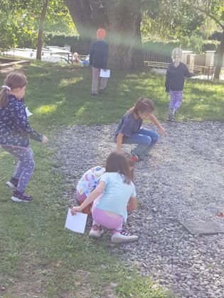 Fotografie img-20241002-wa0020_original.jpg