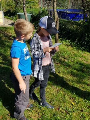 Fotografie img-20241002-wa0022_original.jpg