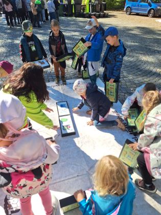 Fotografie img-20241001-wa0014_original.jpg