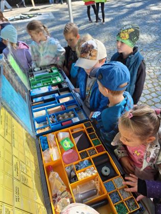 Fotografie img-20241001-wa0017_original.jpg