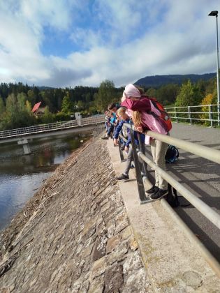 Fotografie img-20241007-wa0000_1_original.jpg