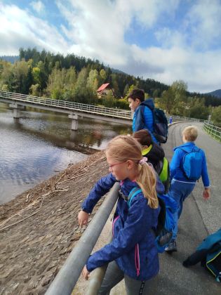 Fotografie img-20241007-wa0001_original.jpg