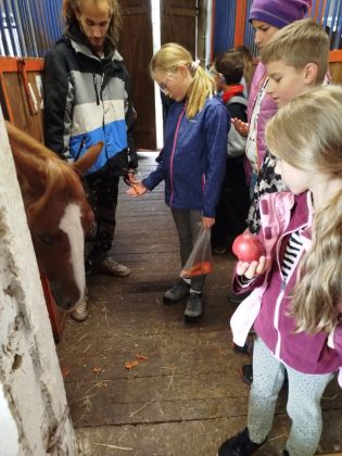 Fotografie img-20241007-wa0003_original.jpg