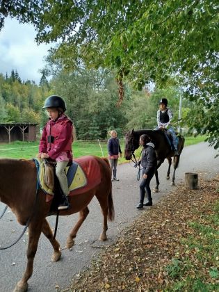 Fotografie img-20241007-wa0006_original.jpg