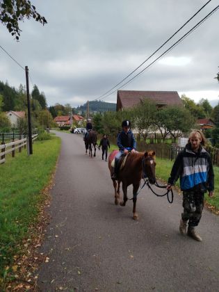 Fotografie img-20241007-wa0009_original.jpg