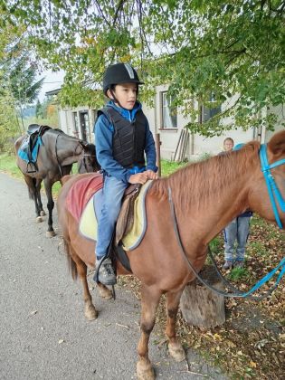 Fotografie img-20241007-wa0011_original.jpg