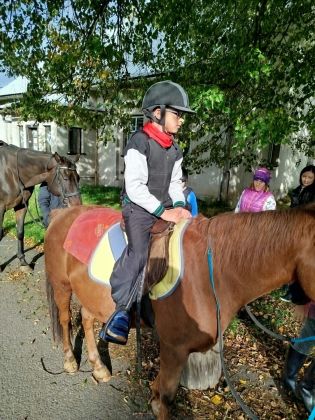 Fotografie img-20241007-wa0017_original.jpg