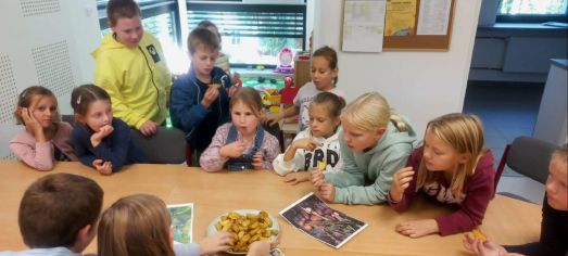 Fotografie img-20241008-wa0003_original.jpg