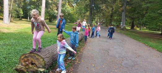 Fotografie img-20241008-wa0018_original.jpg