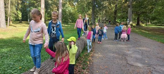 Fotografie img-20241008-wa0020_original.jpg