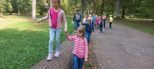 Fotografie img-20241008-wa0021_original.jpg