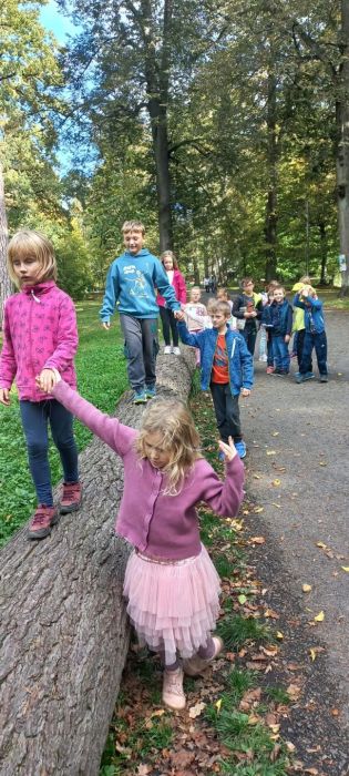 Fotografie img-20241008-wa0022_original.jpg