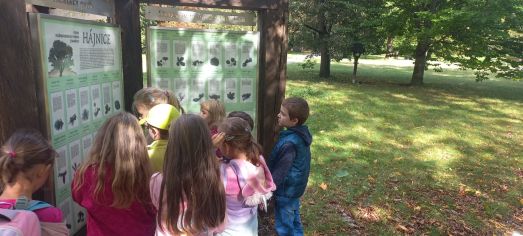 Fotografie img-20241008-wa0024_original.jpg