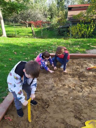 Fotografie img-20241016-wa0009_original.jpg