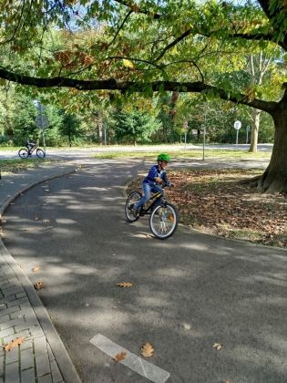 Fotografie img-20241018-wa0005_original.jpg