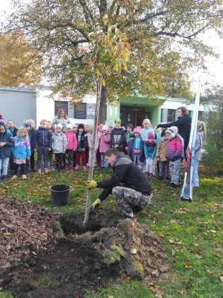 Fotografie img_20241017_084052_original.jpg