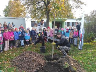 Fotografie img_20241017_084058_original.jpg