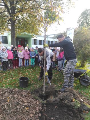 Fotografie img_20241017_084127_original.jpg