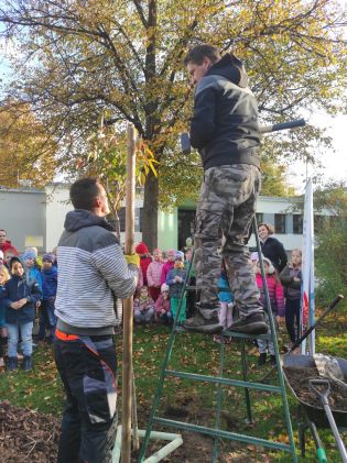 Fotografie img_20241017_084649_original.jpg