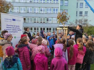 Fotografie img_20241017_090521_original.jpg