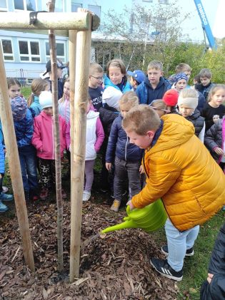 Fotografie img_20241017_090727_original.jpg