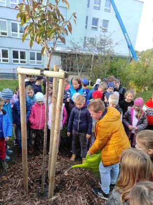 Fotografie img_20241017_090730_original.jpg