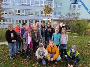 Fotografie img_20241017_091030_original.jpg