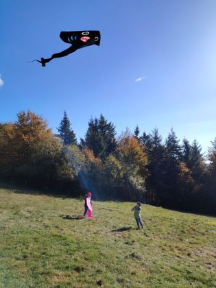 Fotografie img-20241018-wa0029_original.jpg