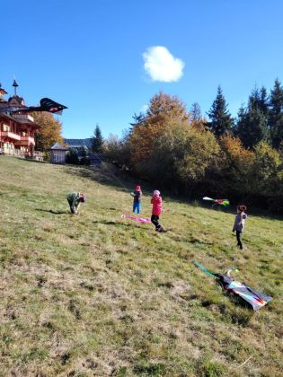 Fotografie img-20241018-wa0041_original.jpg