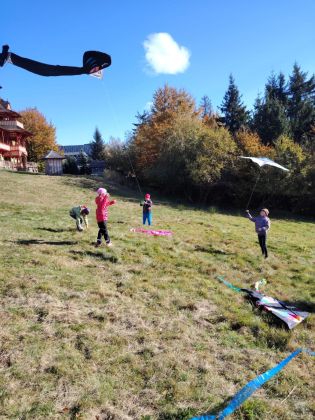 Fotografie img-20241018-wa0043_original.jpg