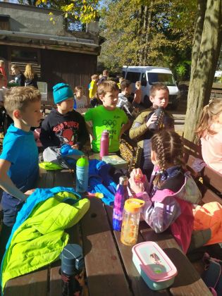 Fotografie img-20241018-wa0011_original.jpg