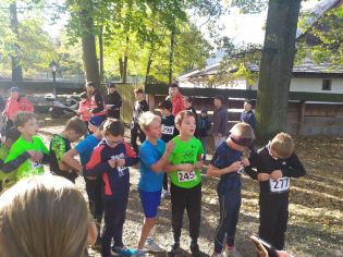 Fotografie img-20241018-wa0014_original.jpg