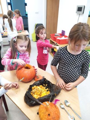 Fotografie img-20241023-wa0006_original.jpg