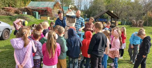 Fotografie img-20241023-wa0008_original.jpg