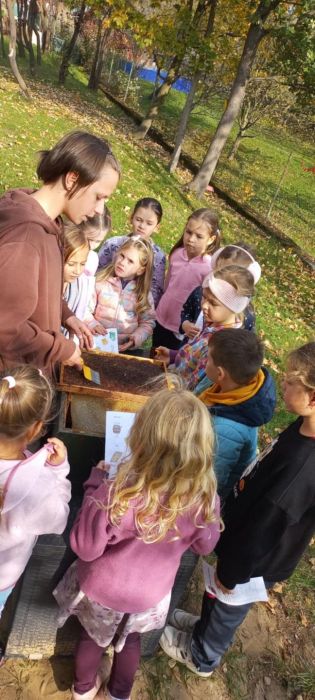 Fotografie img-20241023-wa0011_original.jpg