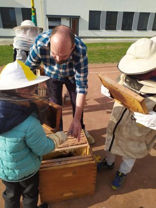 Fotografie img-20241023-wa0019_original.jpg