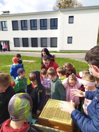 Fotografie img-20241023-wa0031_original.jpg