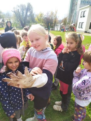 Fotografie img-20241023-wa0035_original.jpg