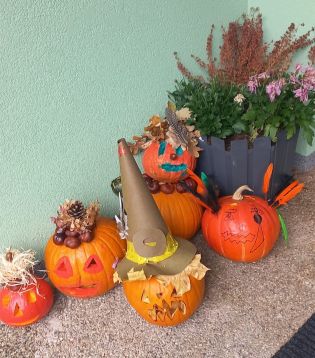 Fotografie img-20241023-wa0059_original.jpg