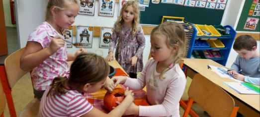 Fotografie img-20241023-wa0063_original.jpg