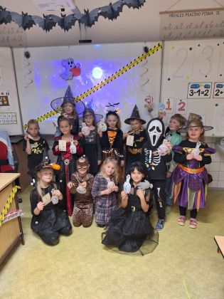 Fotografie img-20241101-wa0031_1_original.jpg