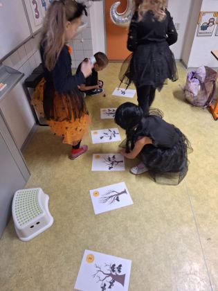 Fotografie img-20241101-wa0032_original.jpg