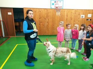 Fotografie img-20241129-wa0000_1_original.jpg