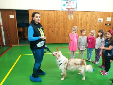 Foto k aktualitě Canisterapie s paní Blankou a pejsky Ejmy a Baffy v I. oddělení ŠD