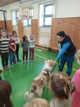 Fotografie img-20241129-wa0001_original.jpg