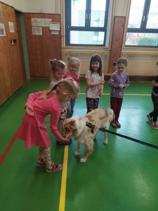 Fotografie img-20241129-wa0004_original.jpg