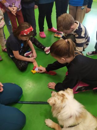 Fotografie img-20241129-wa0009_original.jpg