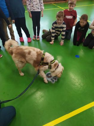 Fotografie img-20241129-wa0010_original.jpg